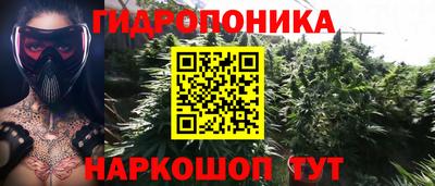 сатива Берёзовский