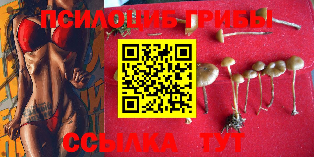 Псилоцибиновые грибы мицелий  Вход с VPN  Кировск 